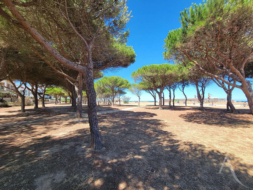 À deux pas de la plage -  Appartement T2 avec vue mer et parking - photo 10
