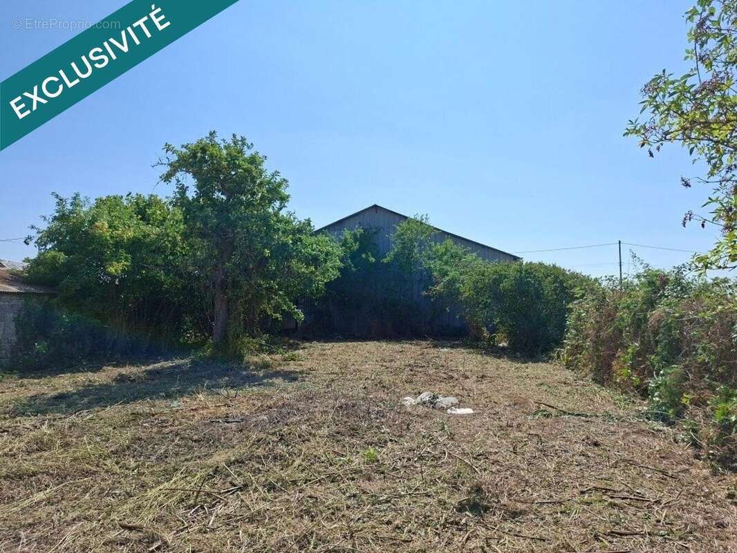 Commerce 225 m² à Santeau  - photo 5