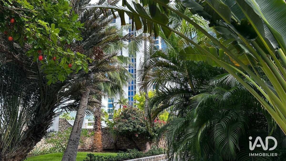 Photo 4 - Appartement à SAINT-MARTIN