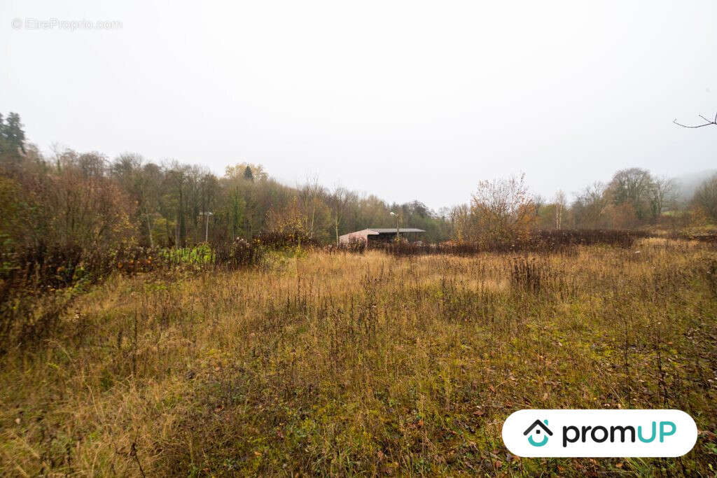 Terrain à HARAUCOURT