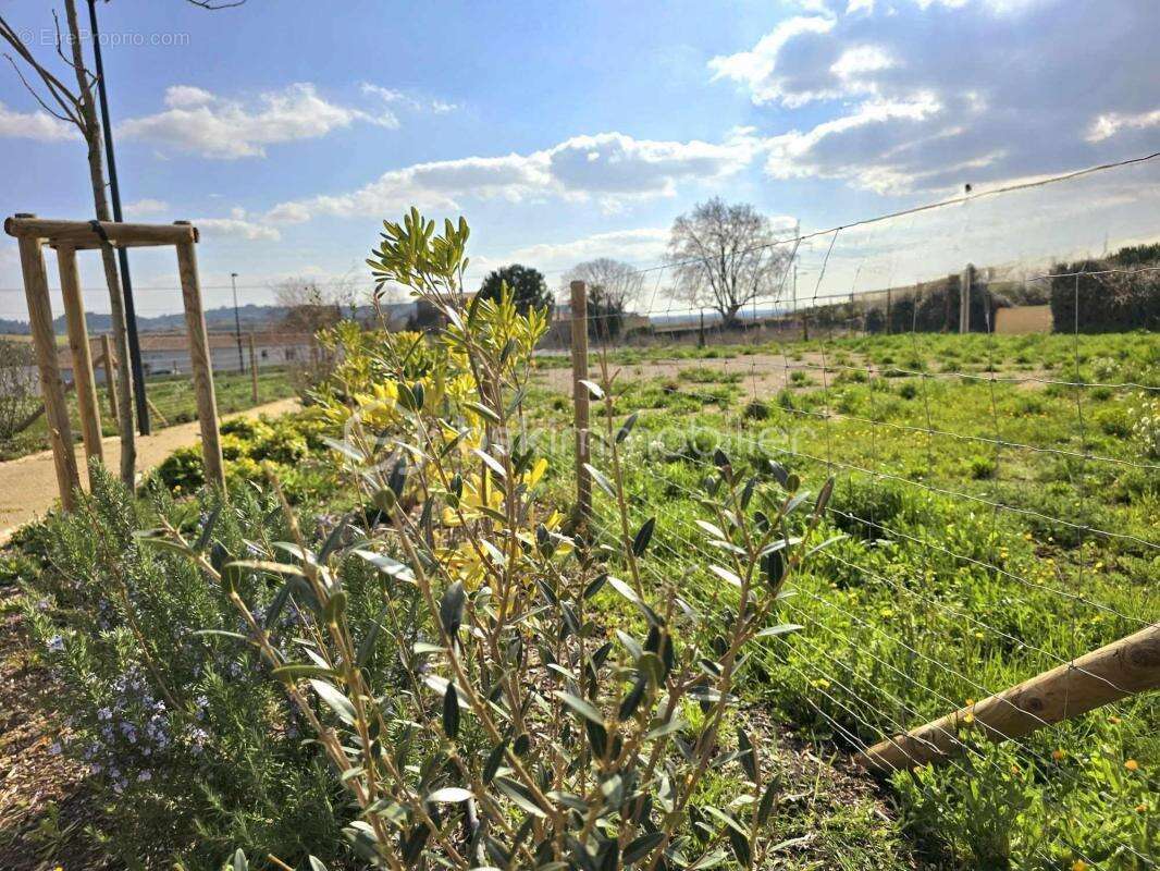 Terrain à GIGNAC