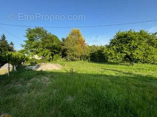 Terrain à BARBEZIEUX-SAINT-HILAIRE