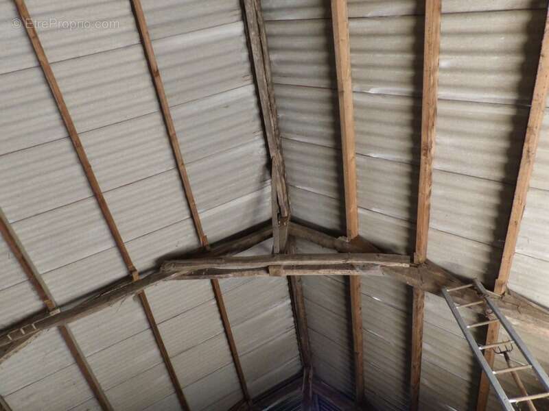 Maison à SAINTE-THERENCE