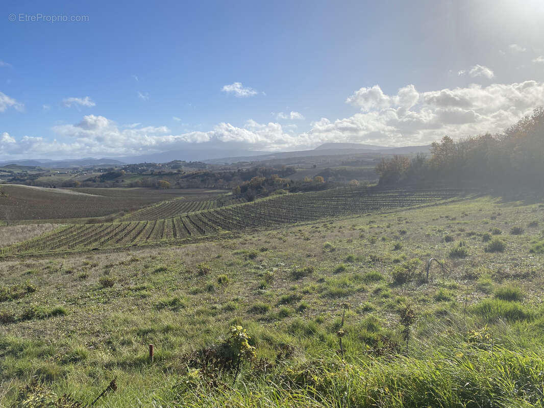 Terrain à bâtir à 5km de Limoux de 1051m2, vue sur les Pyrénées, environnement nature - photo 3