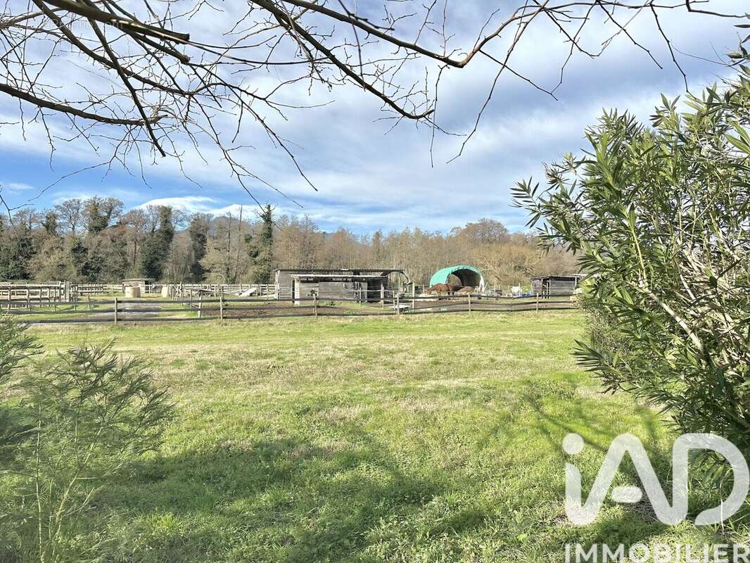 Photo 2 - Appartement à CASTELLARE-DI-CASINCA