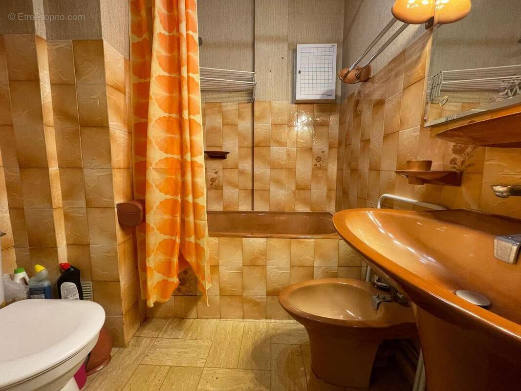 Photo 8 - Appartement à VAULX-EN-VELIN