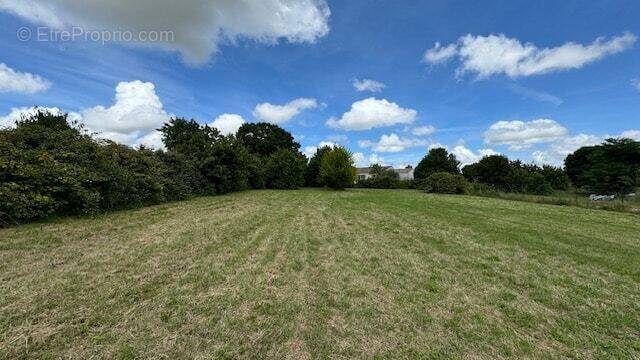 Terrain à SAINT-CREPIN