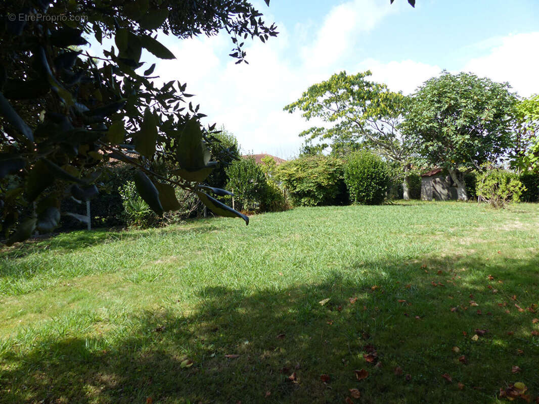 Villa rénovée de 6 pièces sur 1150 m² de terrain, HABAS centre bourg - photo 7