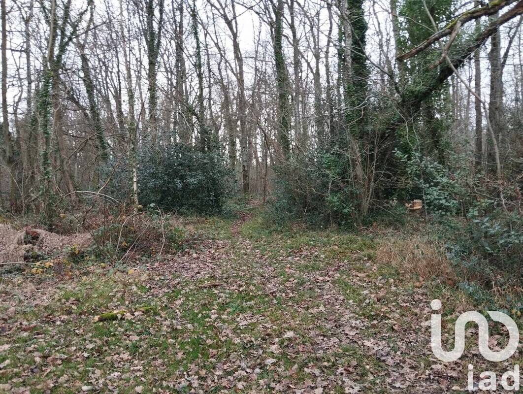 Photo 1 - Terrain à VEZILLY
