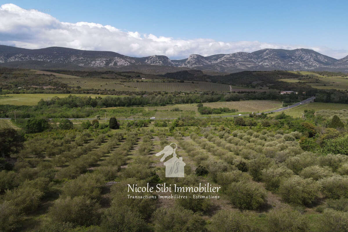 Terrain à SAINT-PAUL-DE-FENOUILLET