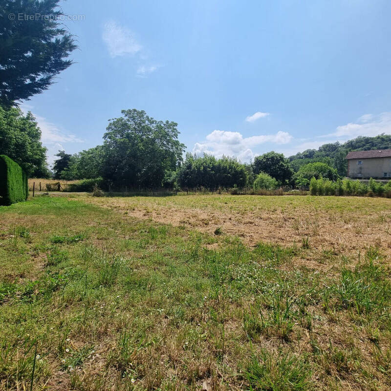 Terrain à SAINT-SEVER