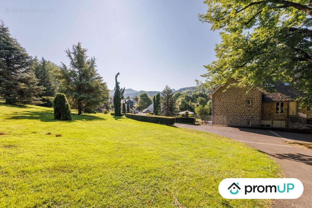 Commerce à MURAT-LE-QUAIRE