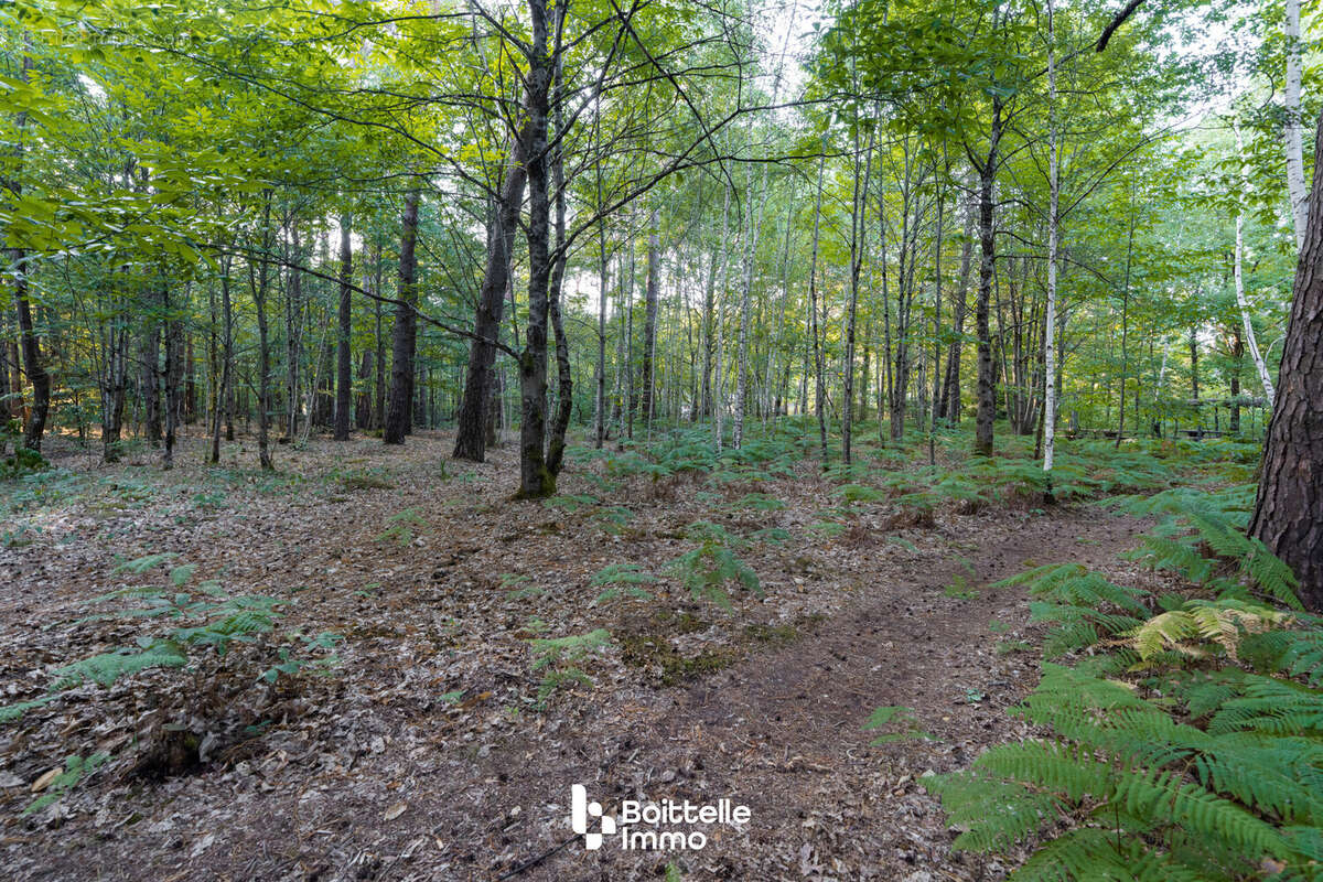 Terrain 3000 m² à Noisy-Sur-Ecole  - photo 8