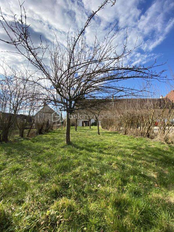 Magnifique corps de ferme aux portes du Morvan - photo 25