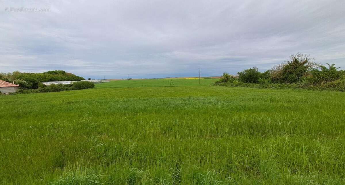 Terrain constructible   1622 m2 non viabilise - photo 2