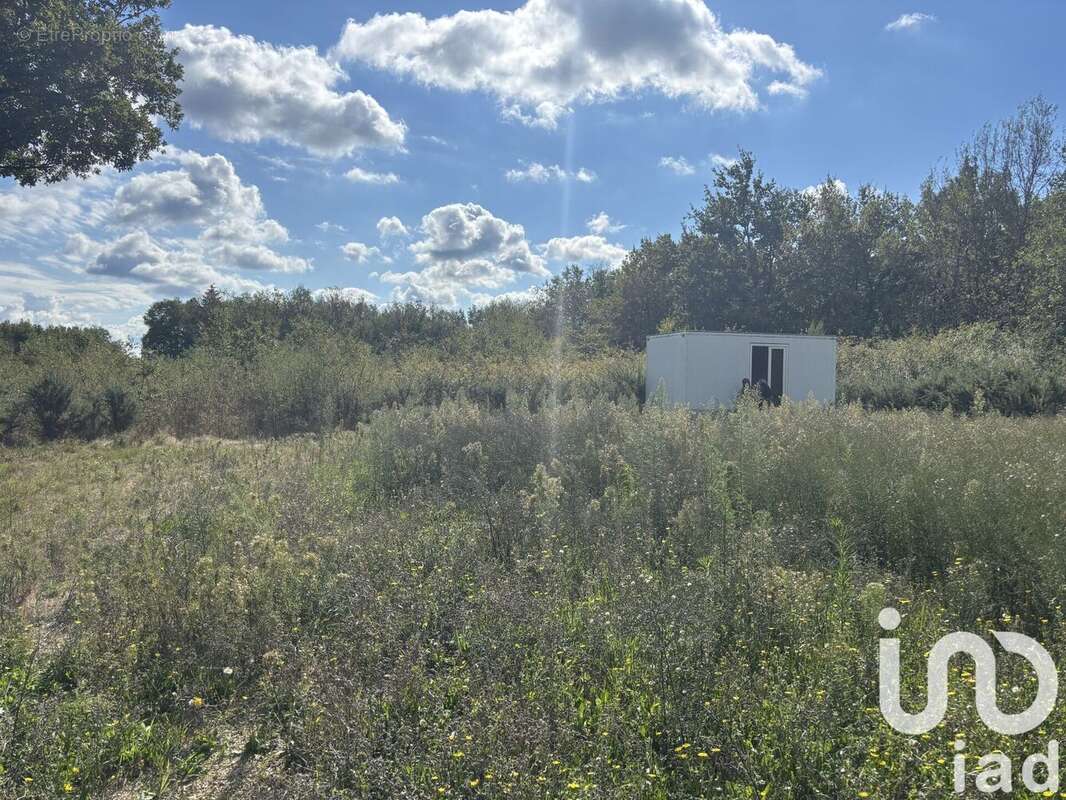 Photo 2 - Terrain à LA VILLE-DIEU-DU-TEMPLE