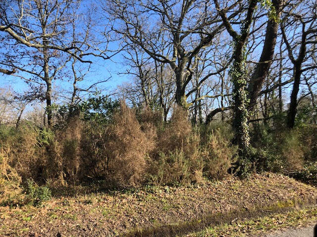 Terrain à GRAYAN-ET-L'HOPITAL