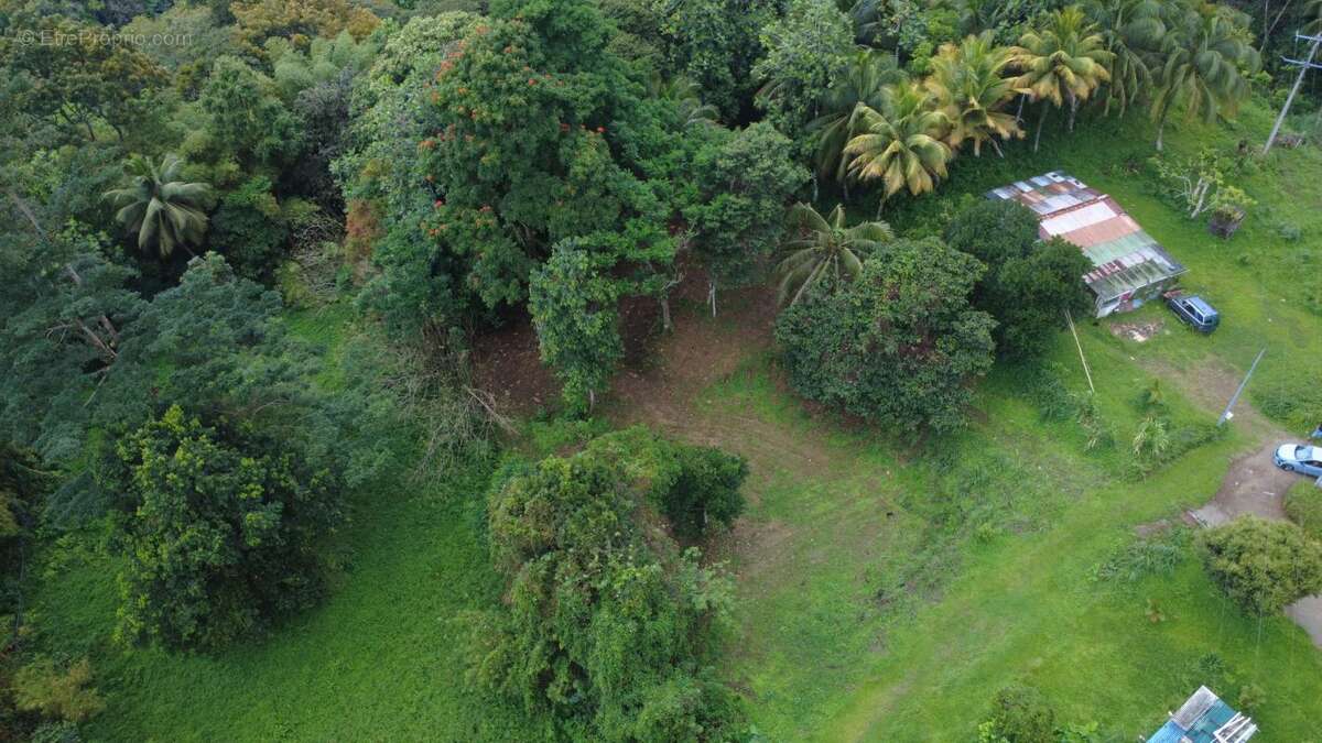 Terrain à FORT-DE-FRANCE