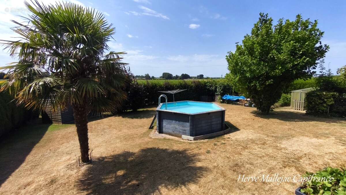 Maison à vendre 7 pièces PROCHE CANY BARVILLE (76) de 152 m² sur Sous-sol - 5 Chambres - 905 m² de terrain clos - photo 3