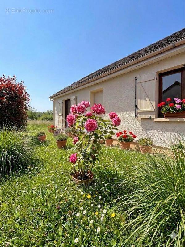Maison à CHANTELOUP-LES-VIGNES