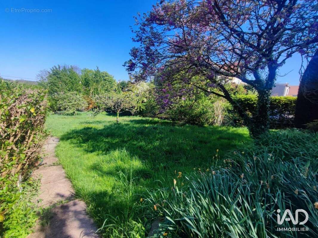 Photo 4 - Maison à ANTONY