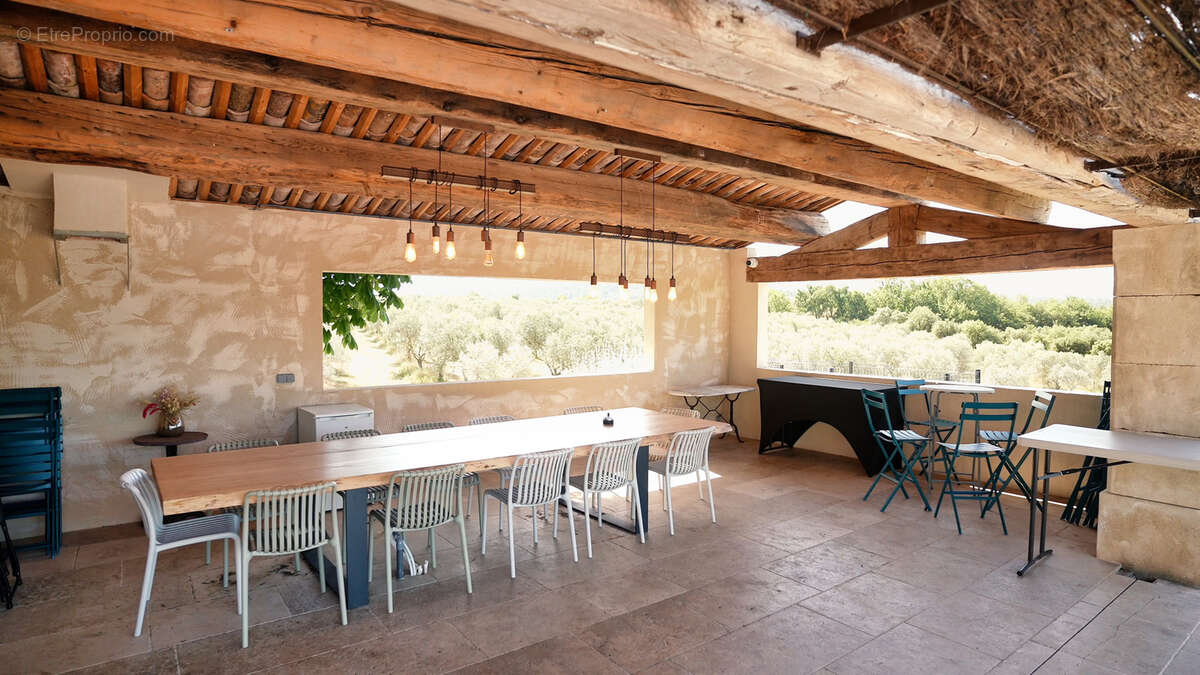 Domaine d'exception au cœur du luberon   oliveraie, chênes truffiers & activité touristique clé en main - photo 2