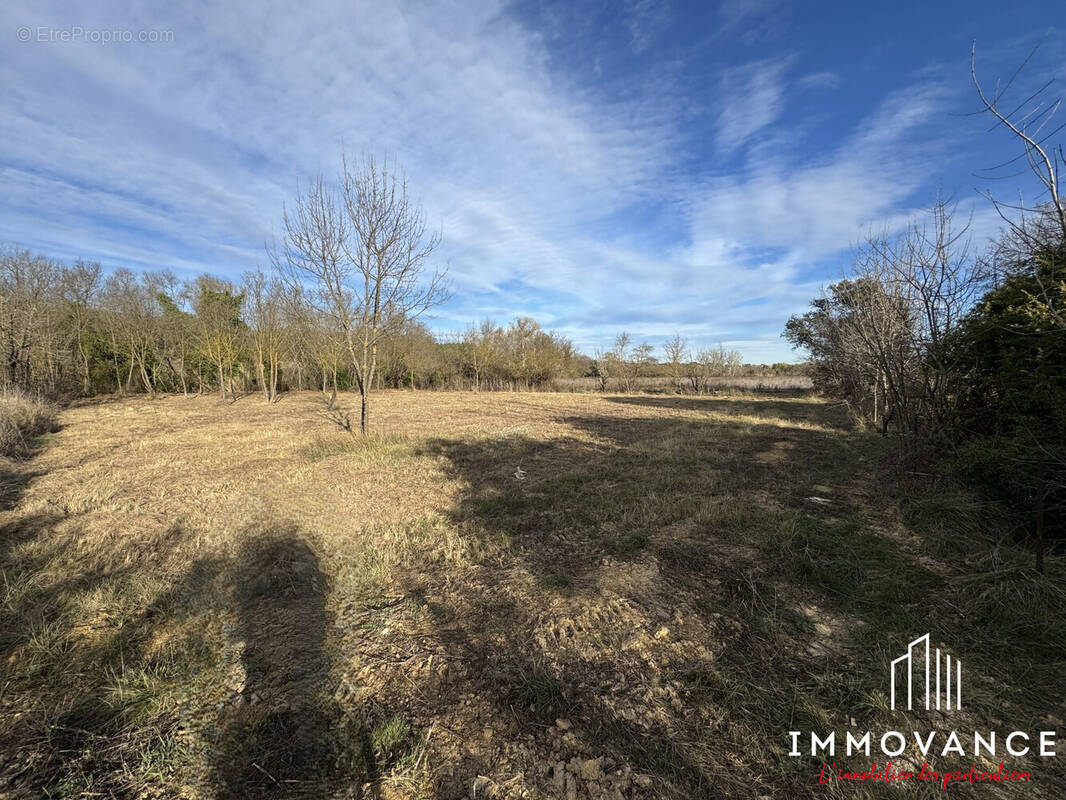 Terrain à SAINT-DREZERY