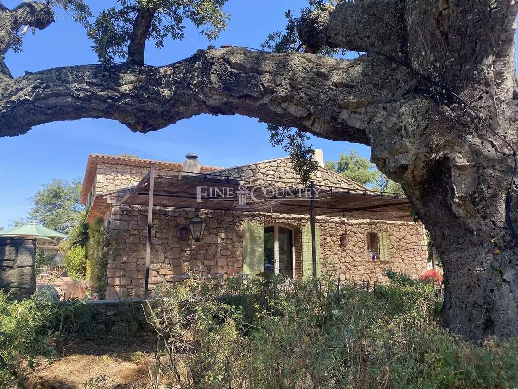 Maison à ROQUEBRUNE-SUR-ARGENS