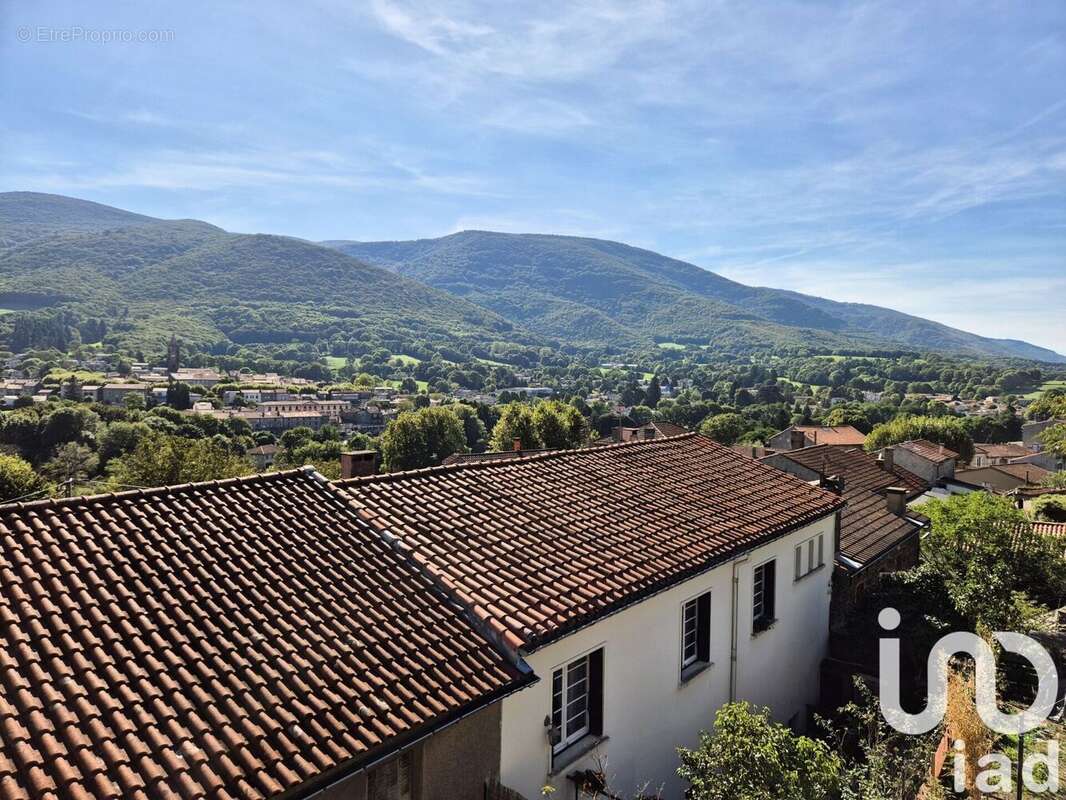 Photo 9 - Maison à SAINT-AMANS-VALTORET