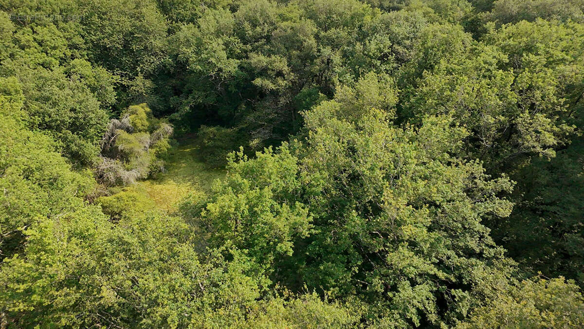Terrain à USSON-DU-POITOU