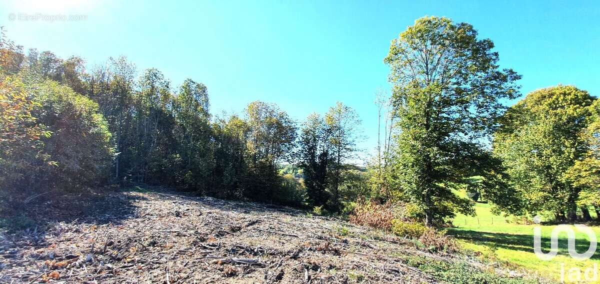 Photo 3 - Terrain à ALBUSSAC