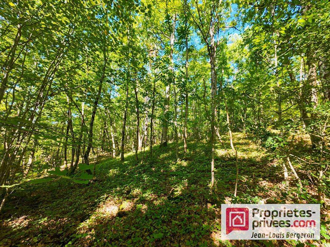 Maison à POCE-SUR-CISSE