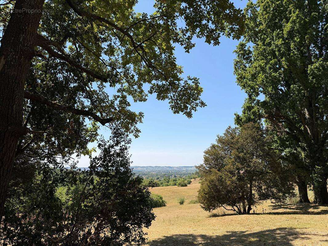 Élégant manoir avec maison d'amis, 11 hectares et vue panoramique - photo 3