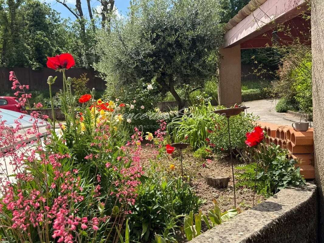 Villa provençale avec piscine à Montmeyan - photo 13