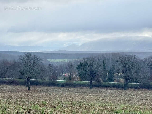 Terrain à FARGES