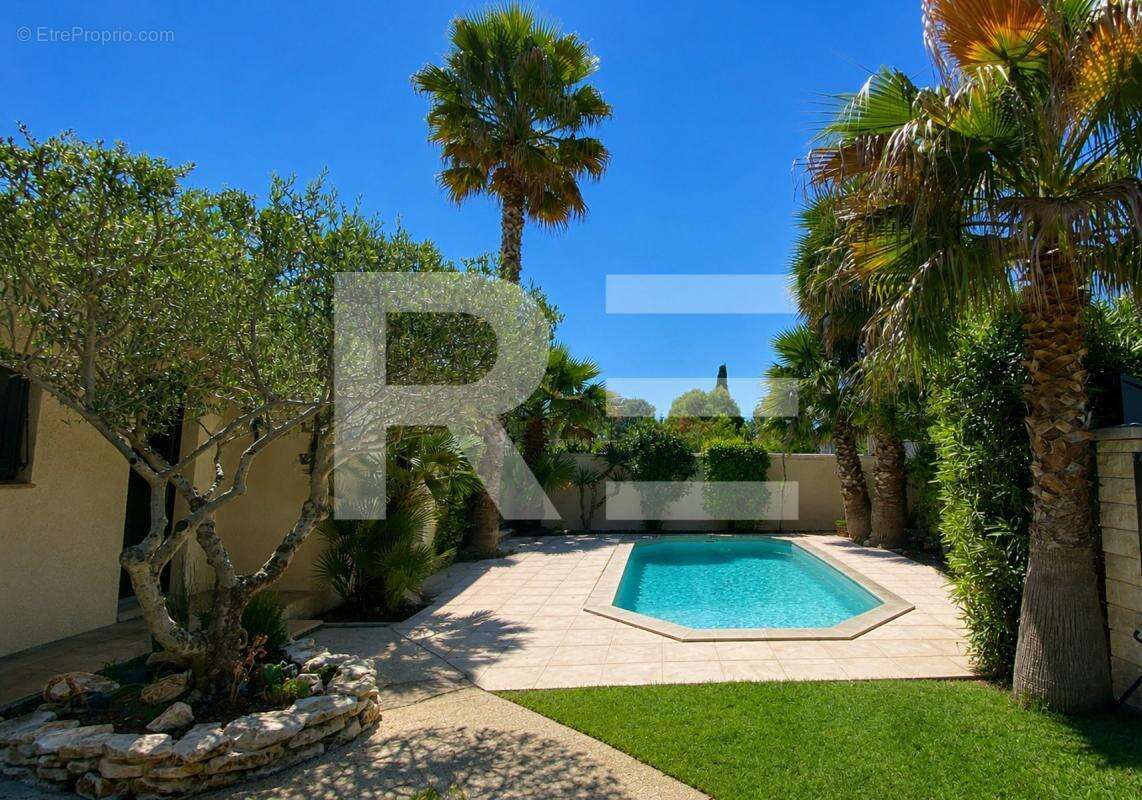 Maison individuelle de plain-pied avec piscine chauffée - photo 3