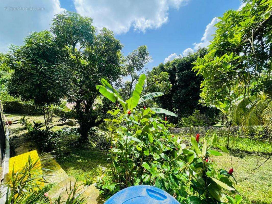 Maison à FORT-DE-FRANCE