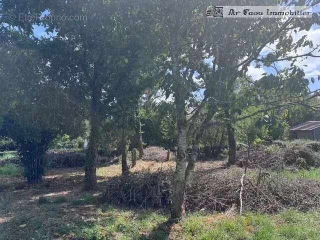 Terrain à HOPITAL-CAMFROUT