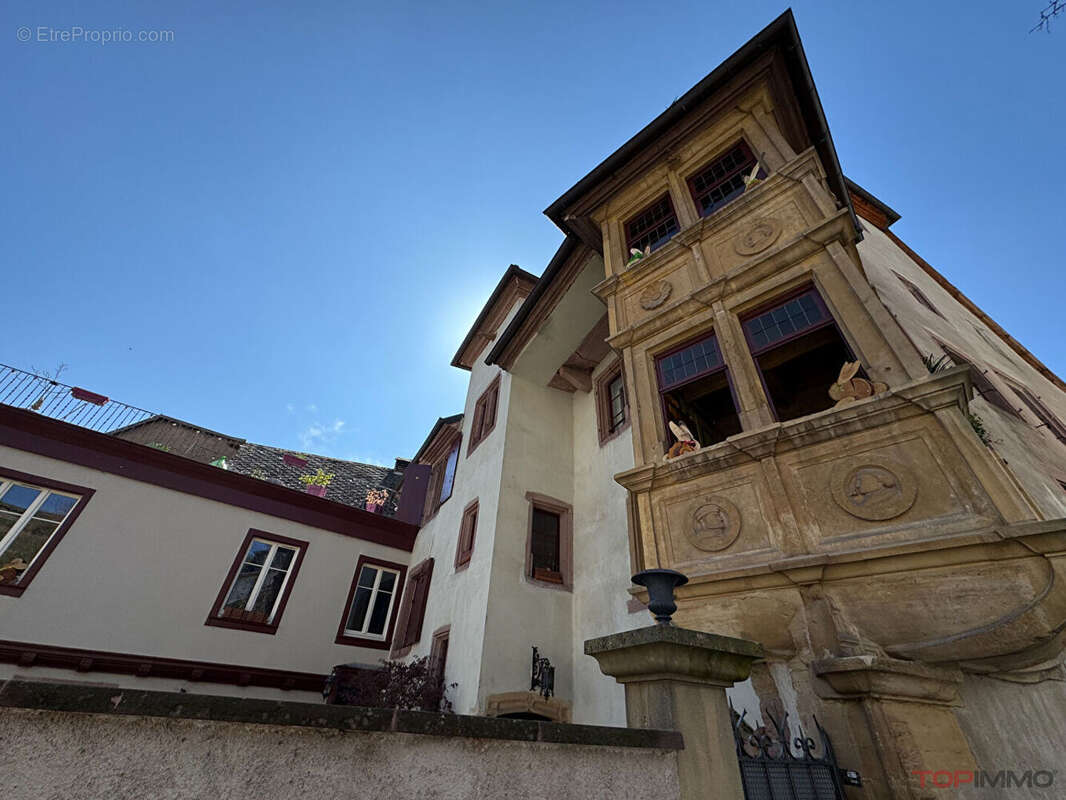 Maison à RIBEAUVILLE