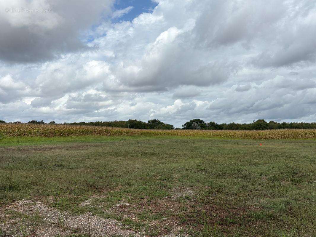 Terrain à LA VILLE-DIEU-DU-TEMPLE