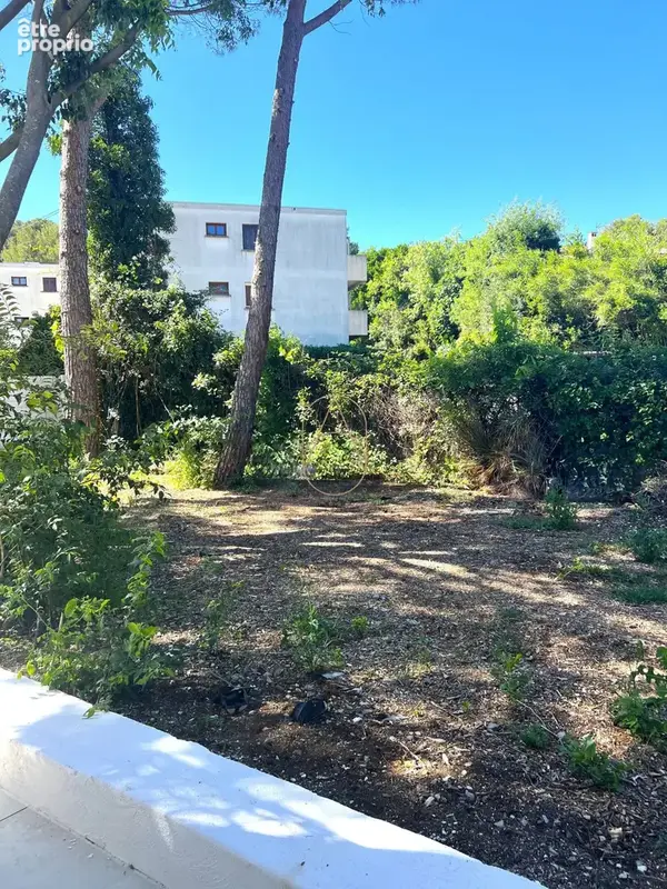 Appartement 4 pièces 67 m² à vendre à Montpellier (34080) - photo 4