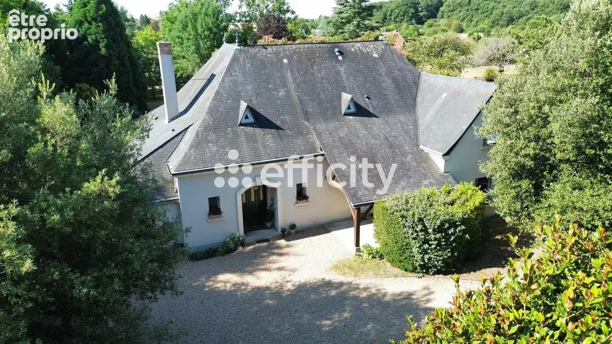 Maison 8 pièces 300 m² à vendre à Fondettes (37230) - photo 18