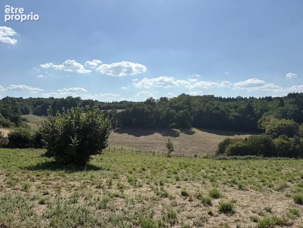 Beyssac : Fermette avec maison d'habitation, grange Auvergnate avec grand espace studio et 1,54 hectares du te - photo 2