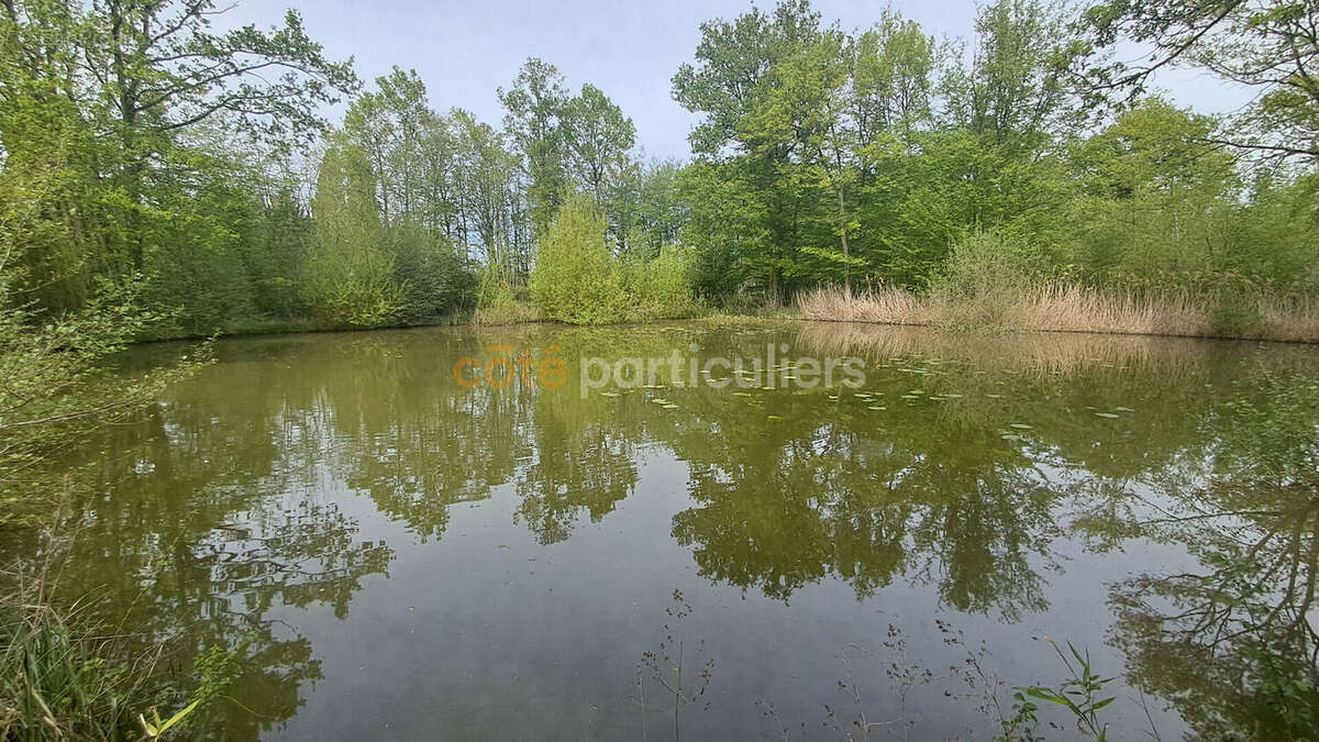 Terrain à CHEVILLON-SUR-HUILLARD