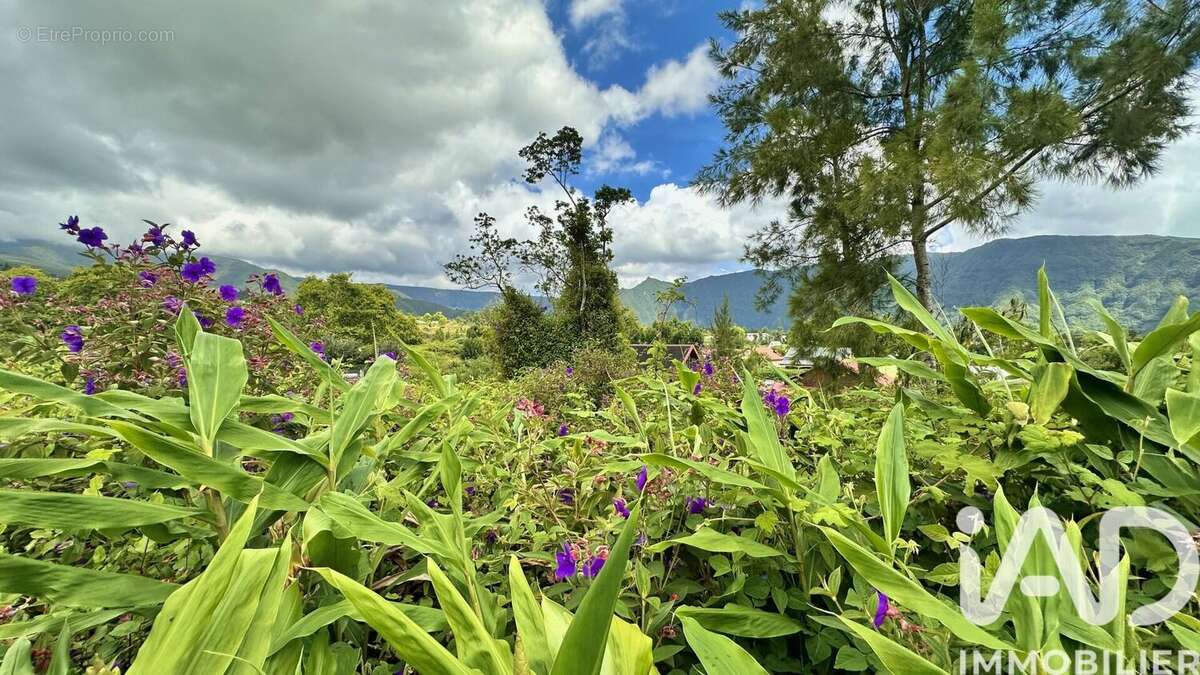 Photo 2 - Terrain à LA PLAINE-DES-PALMISTES