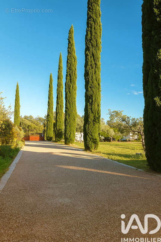 Photo 3 - Maison à TRANS-EN-PROVENCE