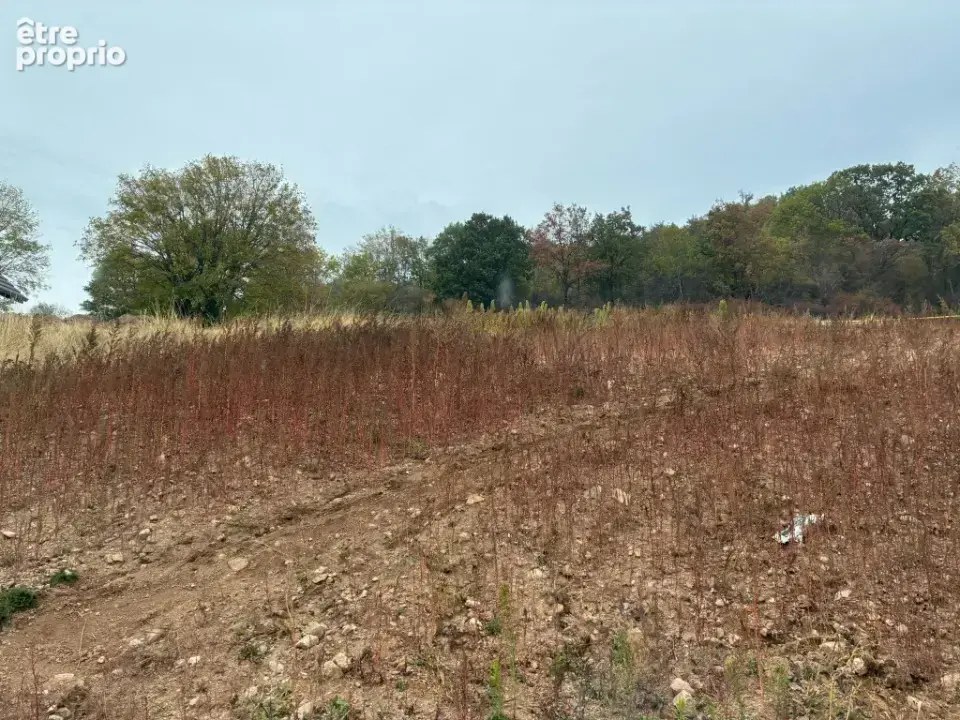 Terrain 757 m² à vendre à Orbey (68370) - photo 1