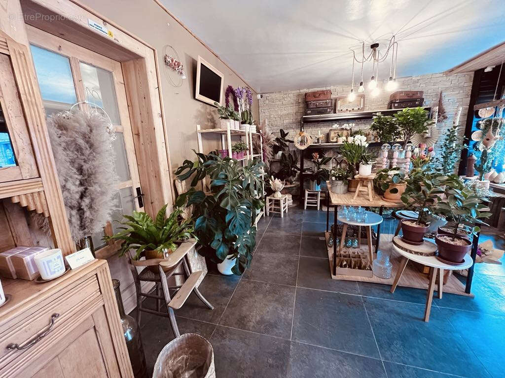 Commerce à LE PORTEL