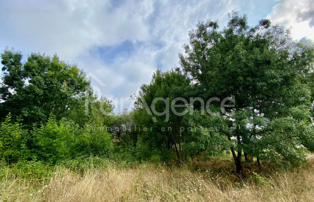 Terrain à SAINT-PALAIS-SUR-MER