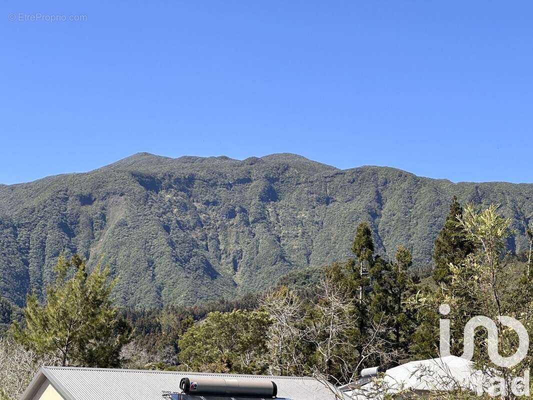 Photo 2 - Terrain à LA PLAINE-DES-PALMISTES